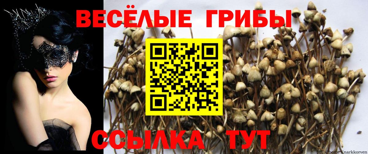 Лесозаводск  Галлюциногенные грибы мухоморы  Псилоцибиновые грибы прущие грибы  Вход с VPN 