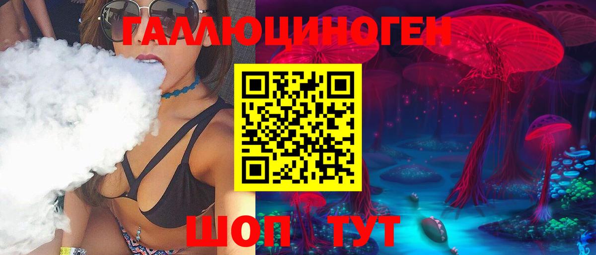 Псилоцибиновые грибы Psilocybe Лесозаводск